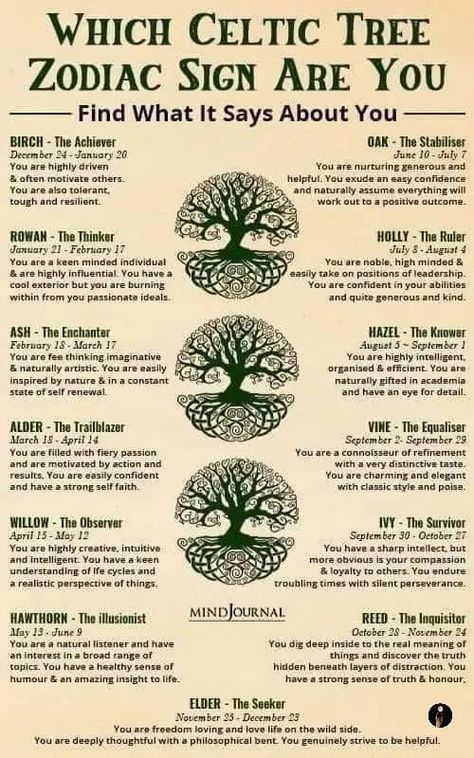 Celtic Tree Zodiac, Tree Zodiac, Celtic Zodiac Signs, Celtic Tree Astrology, Celtic Zodiac, Deep Knowledge, Diy Copper, Celtic Traditions, Witch Spirituality