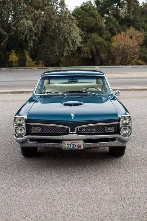 American Muscle Cars Chevy, 1967 Gto, 67 Pontiac Gto, 67 Gto, Gto Car, 1967 Pontiac Gto, 1965 Pontiac Gto, Antique Trucks, Pontiac Cars