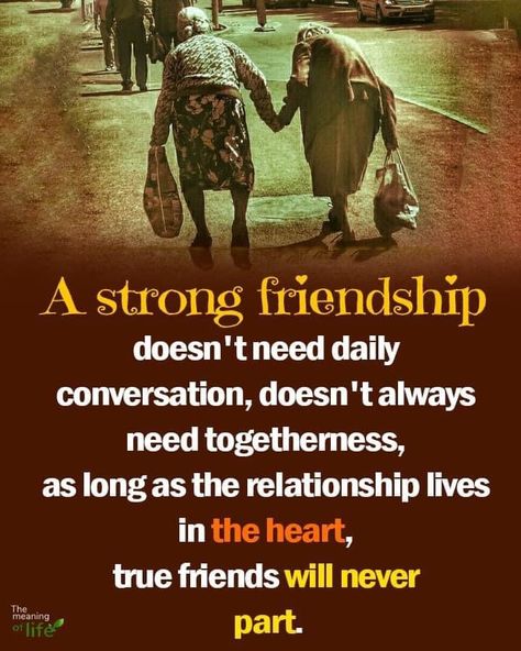 Senior Citizen Quotes, Devotional Images, Strong Friendship, Friend Quotes For Girls, Special Friend Quotes, True Friends Quotes, Hug Quotes, The Meaning Of Life, Real Friendship Quotes