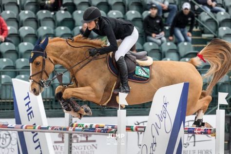 Wellington Equestrian, Jessica Springsteen, Winter Equestrian, Winter Equestrian Festival, Hunter Jumper Horses, Winning Time, Horse Magazine, Beautiful Horse Pictures, Dream Barn