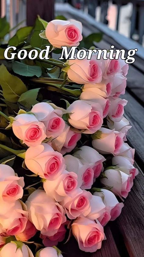 God Morning Quotes, Rainy Good Morning, Good Morning Tuesday Images, Nice Good Morning Images, Good Morning Wishes Friends, Good Morning Posters, Lovely Good Morning Images, Good Evening Greetings, Good Morning Flowers Rose