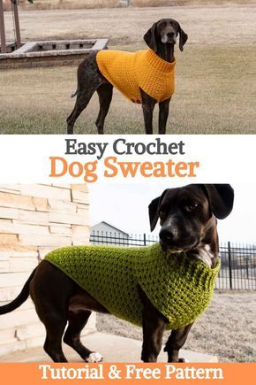 Crocheted Dog Sweaters Free Pattern Easy, Easy Crochet Dog Sweater, Easy Crochet Dog, Crochet Dog Sweaters, Crochet Dog Sweater Pattern, Crochet Sweater Outfit, Crochet Dog Sweater Free Pattern, Baby Bonnet Crochet Pattern, Large Dog Sweaters