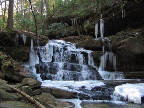 The Bankhead National Forest is home to the incredibly scenic Sipsey Wilderness area. Hiking through the Sipsey Wilderness will take  	you through scenic canyons, along side creeks and rivers, and will also lead you to some scenic waterfalls Sipsey Wilderness, Alabama Hiking, North Alabama, Alabama Travel, Largest Waterfall, Falls Creek, Forest Road, Small Waterfall, Nature Trail