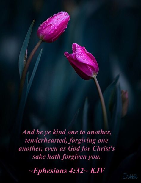 ~Ephesians 4:32~ KJV Bible Verses With Flowers, Scriptures Kjv, Joy In The Lord, Bible Verses Kjv, Happy Sabbath, Ephesians 4, Encouraging Bible Verses, Jesus Love, Jesus Is Lord