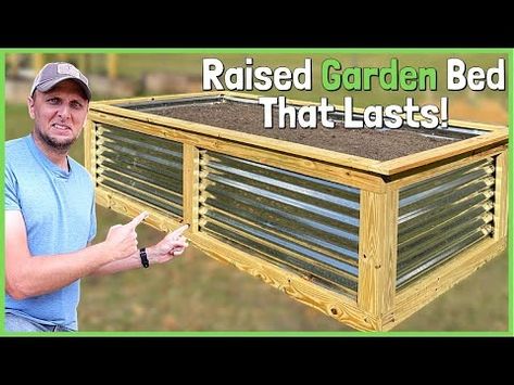 (1689) How To Build A Large Raised Garden Bed Out of Wood and Corrugated Steel! - YouTube Low Maintenance Raised Garden Beds, Cost Effective Raised Garden Beds, How To Make Raised Garden Beds, Wood Raised Beds, Corrugated Garden Beds, Corrugated Metal Raised Garden Beds, Raised Garden Boxes, Large Raised Garden Beds, Making Raised Garden Beds