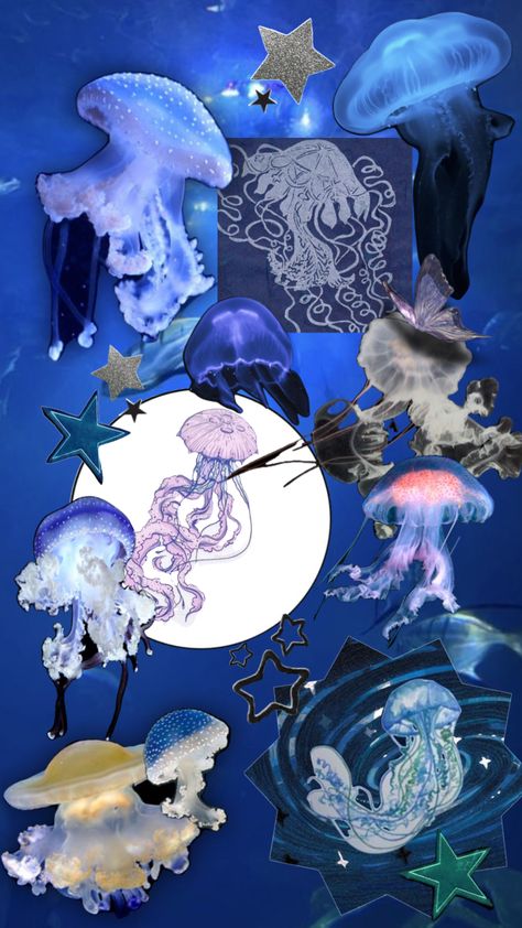 Cool Sea Creatures, Aquarium Pictures, Sea Jellies, Fish Icon, Jellyfish Art, Snoopy Wallpaper, Cute Tumblr Wallpaper, Art Tools Drawing, Jelly Fish