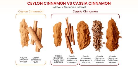 Despite the vast history and use of cinnamon, not every cinnamon in the market is the same; there are two main types of cinnamon namely Cassia Cinnamon and Ceylon Cinnamon with vast differences in composition, flavor, and texture. Types Of Cinnamon, Saigon Cinnamon, Cassia Cinnamon, Cinnamon Oil, Ceylon Cinnamon, Cinnamon Essential Oil, Essential Oils Herbs, Indonesian Cuisine, Herbs For Health