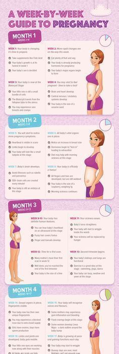 Pregnancy is a life-changing experience for a woman. How-ever taxing it may be, it is the best time of a woman’s life. We take you through week by week transformation of a woman’s body during these amazing 9 months. Not just that, we also help you with the diet and what stage your baby is in. Read about the interesting turn of events here. Infographic by – Parents Need Transformation Du Corps, 5 Weeks Pregnant, Pregnancy Info, Pregnancy Information, Pumping Moms, Pregnancy Months, Baby Sleep Problems, Pregnancy Symptoms, Pregnancy Stages