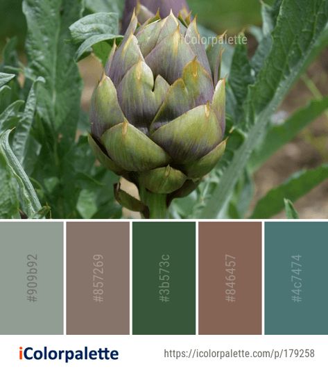 14 Artichoke Color Palette ideas in 2020 | iColorpalette Color Palette Ideas, Palette Ideas, Plant Stem, Image Downloads, Artichoke, Your Image, Color Palette, Daisy, Color