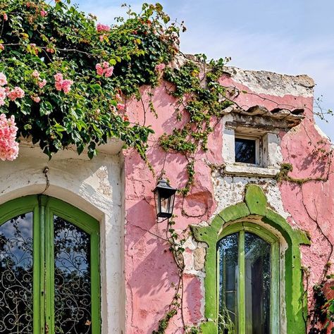 Thierry Lechanteur on Instagram: "Green & Pink dream 💚🩷  Prints -> link in bio  Where is this? In the heart and mind of dreamers. 🌺🏡✨  #DreamyEscape #CharmingHouse #SecretGarden #MediterraneanVibes #RusticCharm #ColorfulFacade #SummerDreams #PeacefulRetreat #HeartOfDreamers #IdyllicSpot #FairytaleHouse #SereneBeauty #GardenParadise #PicturesqueView #RomanticGetaway #TimelessBeauty #midjourney" Thierry Lechanteur, Front Yard Flowers, Yard Flowers, Fairytale House, Charming House, Pink Houses, Heart And Mind, Romantic Getaways, Rustic Charm