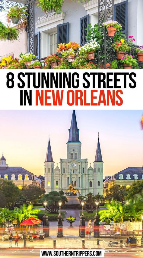 8 Stunning Streets in New Orleans Hotels In New Orleans, French Quarter Hotels, New Orleans Travel Guide, Louisiana Travel, New Orleans Hotels, Visit New Orleans, New Orleans French Quarter, Visit Places, New Orleans Travel