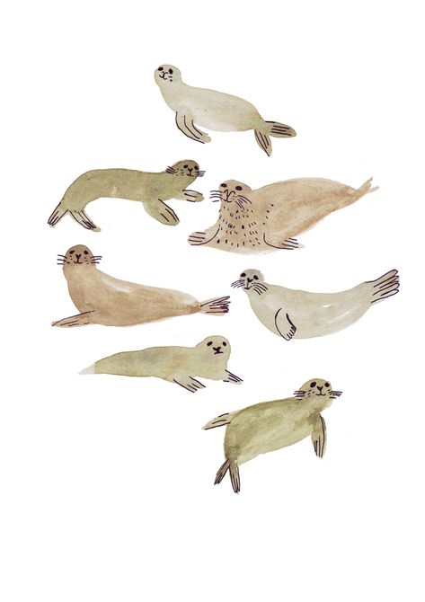 Some characters waiting a story on Behance Watercolour Animals Simple, Selkie Mythology, Seal Watercolor, Art Et Illustration, Art And Illustration, Malbec, Tasmania, Art Graphique, Art Plastique