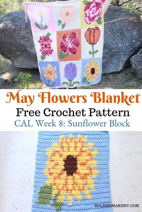 Crochet Cals, Memorial Beads, Zig Zag Crochet, Crochet Flower Blanket, Crochet Square Blanket, Easy Crochet Blanket, Crochet Blanket Designs, Flower Blanket, Crochet Blocks