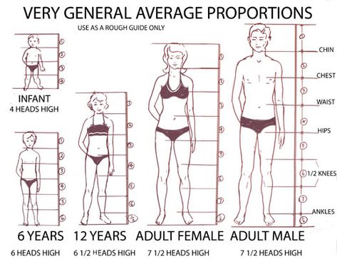 Proportions for drawing people Proportion Sketching, 12 Head Croquis Fashion Figures, Proportions Drawing, Body Proportion Drawing, Human Body Proportions, Head Proportions, Drawing Body Proportions, Drawing Proportions, Mens Body