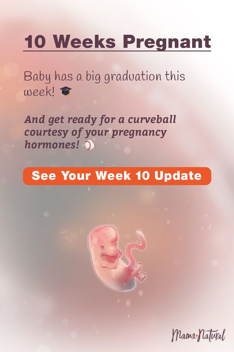 See what's up with baby, mama, and more when you're 10 weeks pregnant. The ultimate week by week natural pregnancy guide! Learn everything from pregnancy symptoms, development, learn to track your baby's growth and natural remedies for a healthy pregnancy. Click to find a complete timeline from the first trimester, second trimester, third trimester with tips for mom and baby to prepare them for a natural birth. #naturalpregnancy #pregnancytips Baby At 10 Weeks Pregnant, 10 Weeks Baby Bump, 10 Weeks Pregnant Bump, 9 Week Baby Bump, 11 Weeks Pregnant Ultrasound, 11 Week Baby Bump, 10 Week Baby Bump, Week 10 Pregnancy, 10 Weeks Pregnant Ultrasound