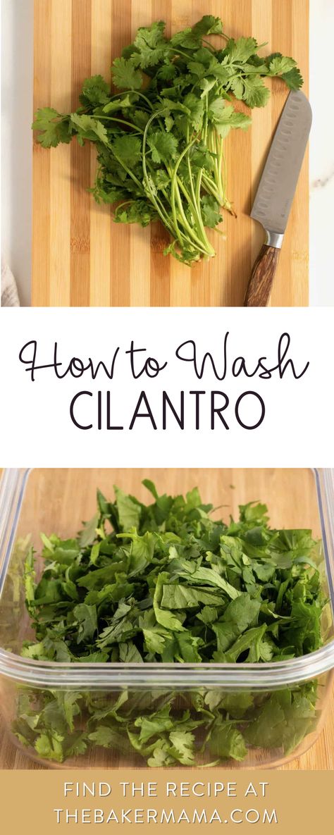 How To Chop Cilantro, Cleaning Produce, Freezing Cilantro, Easy Steak Fajitas, Olive Oil Dip, Cilantro Recipes, Butter Carrots, Hot Corn, Spicy Tacos