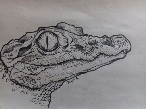 Leopard Gecko Sketch, Majestic Drawings, Gator Drawing, Snake Drawing Sketches, Alligator Sketch, Crocodile Sketch, Alligator Drawing, Crocodile Drawing, Green Scales