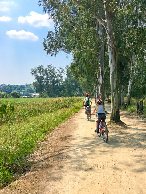 Going off-road in Nam Sang Wai, a gorgeous part of Hong Kong's New Territories. Hong Kong Travel Tips, Hong Kong Beaches, Hong Kong Fashion, Hong Kong Food, Kid Friendly Activities, Hong Kong Travel, Favorite City, Asia Travel, Travel With Kids