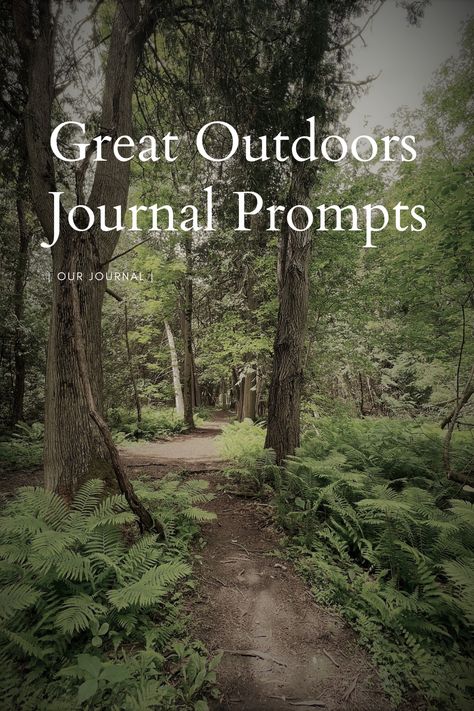 Nature Journaling Prompts, Nature Journal Inspiration, Green Witch Journal Prompts, Nature Writing Prompts, Natural Journaling, Outdoor Journaling, Nature Journal Prompts, Nature Journal Ideas, Outdoor Journal