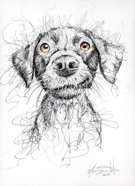 Max Ink drawing by Maurizio Puglisi | Artfinder Pet Drawings, Pet Drawing, Scribble Art, Animals And Birds, Pets Drawing, 강아지 그림, Drawing On Paper, Ink Watercolor, Pet Art