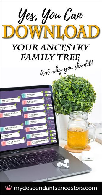 Genology Tree, How To Make A Family Tree, Ancestry Printables, Family Tree Book, Genealogy Humor, Ancestry Tree, Free Genealogy Sites, Family Tree Printable, Genealogy Organization