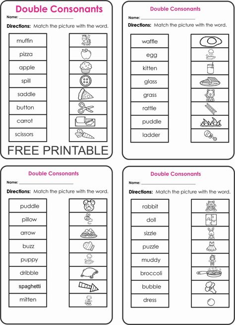 Double Letter Words Worksheet, Double Consonants Worksheet, Double Letter Words, Consonants Worksheets, Double Consonant Words, Consonant Letters, Sorting Worksheet, Consonant Blends Worksheets, Consonant Words