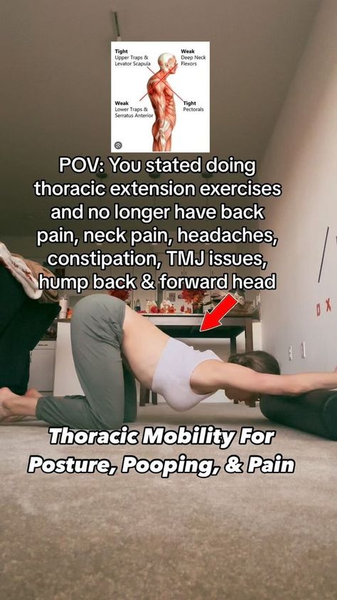 Lower Cross Syndrome Exercises, Upper Cross Syndrome Exercises, Cervical Spine Exercises, Levator Scapulae, Upper Cross Syndrome, Erector Spinae, Neck And Shoulder Exercises, Rounded Shoulders, Lower Back Pain Exercises