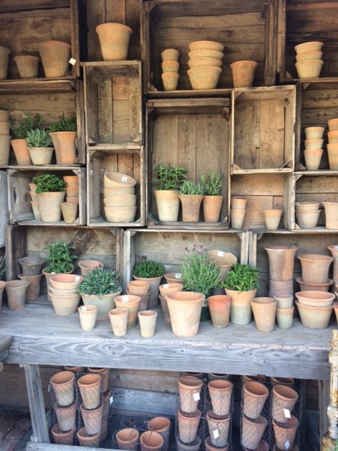 greenhouse / potting bench / she shed inspo seen at Rogers Gardens in Newport Beach, CA. this inspired me to create something similar! Potting Shed Table Ideas, She Shed Work Bench, Tiny Potting Shed, Potting Shed Decor, Gardening Storage Ideas, Potting Shed Organization, Potting Bench Bar, Potting Shed Ideas, Potting Shed Interior Ideas