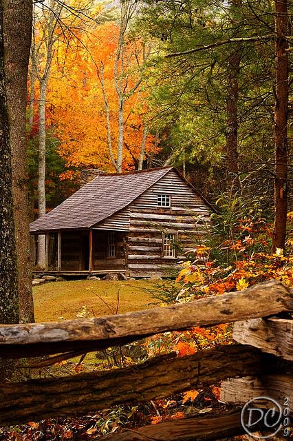 Autumn in the Great Smoky Mountains Cades Cove, Little Cabin, Smoky Mountain, Cabin In The Woods, Cabins And Cottages, Great Smoky Mountains, Lombok, Cabins In The Woods, Smoky Mountains