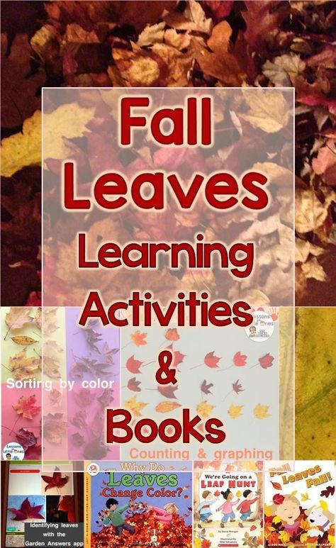 Fall leaves learning activities and books for the primary grades (preschool - grade 2). Fall Leaf Activities, Fall Leaves Activities, Leaf Activities, November Classroom, Fall Classroom Ideas, Early Childhood Education Resources, Leaf Identification, Books For Preschool, Early Childhood Education Activities