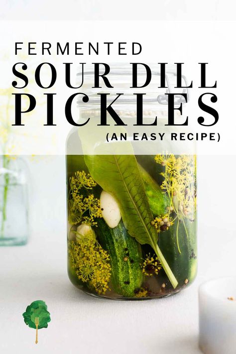 Homemade Ingredients, Sour Pickles, Coriander Seed, Fermented Pickles, Pickle Recipe, Pickling Spice, Fermentation Recipes, Fermented Vegetables, Pickling Cucumbers