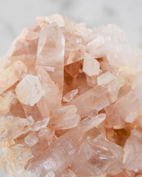 Have you ever seen a crystal that just makes you go “oomph 🤤 🫦 🥴” cause that’s what Himalayan Quartz does to me baby. The key to my heart is a big, thick, juicy crystal 🤫😉 #crystals #crystalsforhealing #crystalsforcalm #crystalsforabundance #crystalsforpositivity #crystalsforhealth #crystalsforconnection #crystalandstone #crystalsformoney #crystalsforlove #crystalsforstrength #crystalsforwillpower #crystalsforfertility Fertility Crystals, The Key To My Heart, Himalayan Quartz, Key To My Heart, Crystal Stone, Himalayan, Have You Ever, Stones And Crystals, Crystal Healing