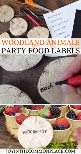 Diy Woodland Animals, Animal Party Food, Woodland Party Food, Woodland Baby Shower Theme Boy, Woodland Baby Shower Food, No Carve Pumpkin, Woodland Animals Party, Diy Woodland, Woodland Animal Birthday