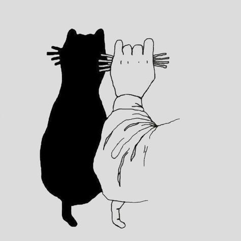 Shadows with your hands (easy and advanced) - Tips de Madre Shadow Puppets With Hands, Cat Shadow, Hand Shadows, Shadow Theatre, Shadow Art, Shadow Play, Shadow Puppets, Childrens Room Decor, Childrens Crafts