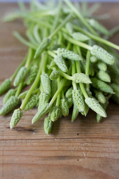 Wild Asaparagus by noemihauser - Noemi Hauser | Stocksy United Asparagus Racemosus, Botanical Medicine, Wild Asparagus, Colorful Fruit, Long History, Stock Photography Free, Wooden Board, Processed Food, Fruits And Veggies