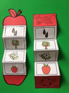 Apple Cycle, Apple Crafts For Toddlers, Apple Life Cycle Craft, Apple Tree Life Cycle, Apple Crafts Preschool, Life Cycles Preschool, Tree Life Cycle, Preschool Apple Theme, Apple Crafts