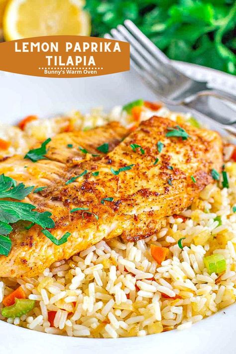 Lemon Paprika Tilapia with rice on a white dinner plate. Lemon Pepper Tilapia, Tilapia Recipes Easy, Seafood Salads, Cabbage Side Dish, Fish Dinners, Rice And Vegetables, Seafood Meals, Baked Cabbage, Grilled Seafood Recipes