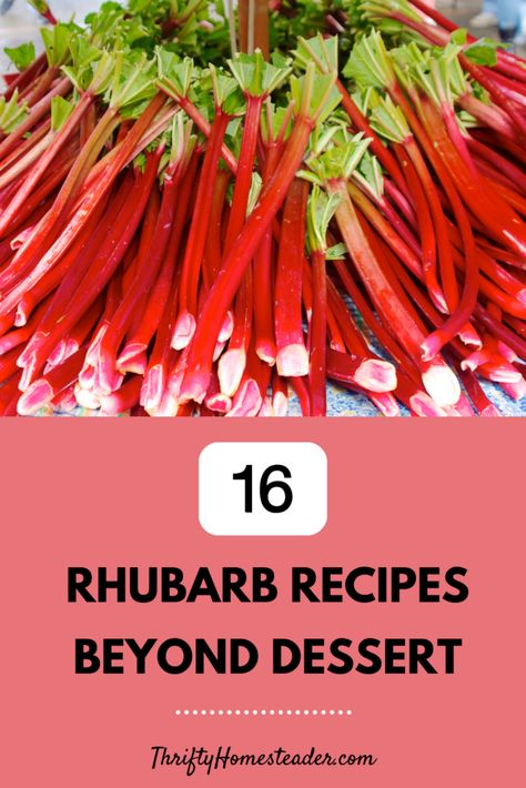 Frozen Rhubarb Recipes, Rhubarb Drink, Healthy Rhubarb Recipes, Recipes Rhubarb, Easy Rhubarb Recipes, Rhubarb Desserts Recipes, Freeze Rhubarb, Rhubarb Cake, Homemade Bread Recipes Easy