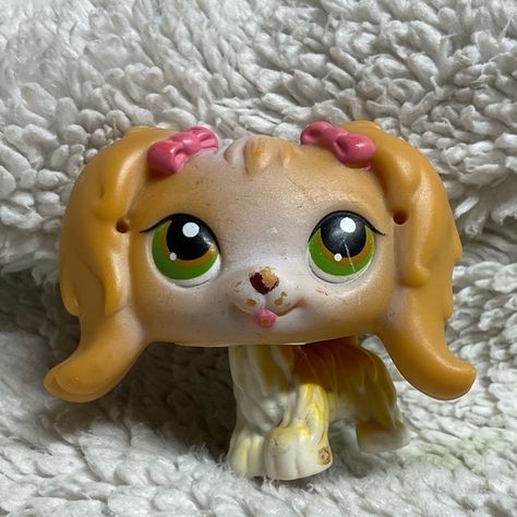 Littlest pet shop #79 Maltese Littlest Pet Shop, Maltese, Lps, Pet Shop, Rust, Pet, Closet, Fashion Tips