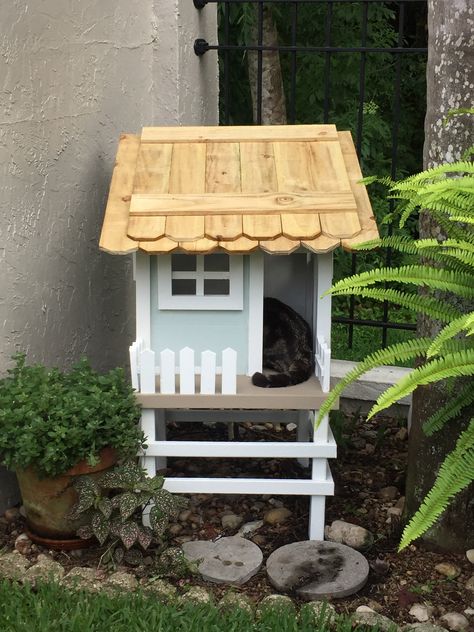 Cute Outdoor Cat House, Easy Cat House Outdoor, Wooden Cat House Outdoor, Outdoor Cat Tree House, Outdoor Cat Shelter Summer, Cat Treehouse Outdoor, Cats House Ideas Outdoor, Pallet Cat House Outdoor, Cat Tree House Outdoor