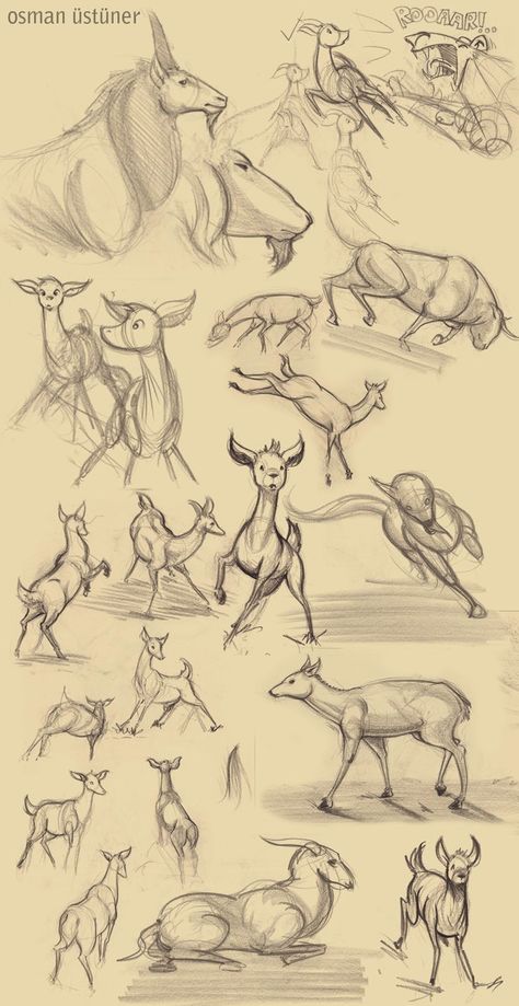 Deer Sketches, Deer Sketch, Animal Drawing, Creature Design, Taxidermy, Media Art, Mixed Media Art, Animal Drawings, Pencil Drawings