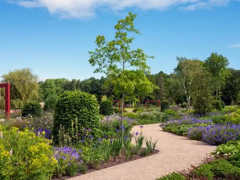 Paradise Garden, Natural Ecosystem, Garden Designer, Pizza Ovens, Wild Edibles, Forest Garden, Sustainable Garden, Wildlife Habitat, Organic Produce