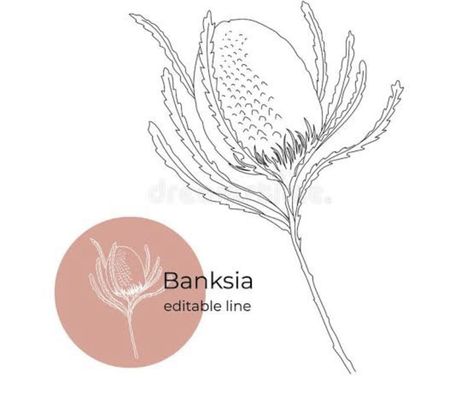 Line Tattoo, Line Tattoos, Dandelion, Home Decor Decals, Tattoos, Plants, Flowers