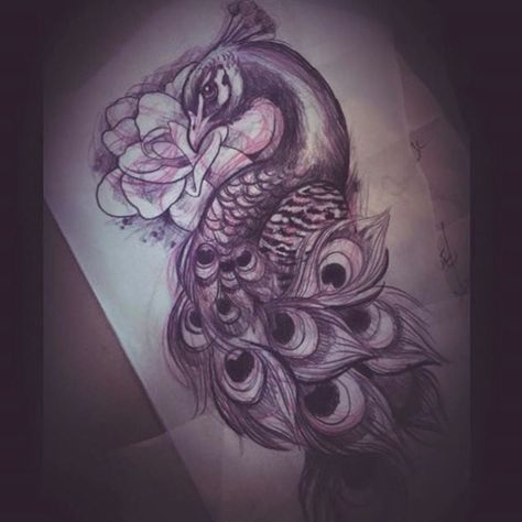 Mangas Tattoo, Tattoo Hip, Peacock Drawing, Tattoo Thigh, Peacock Tattoo, Petit Tattoo, Bird Sketch, Feather Tattoos, Hip Tattoo