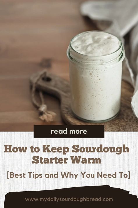 Sourdough Starter Warmer, Small Batch Sourdough Starter, How To Make Sourdough Starter, How To Maintain Sourdough Starter, I Have A Sourdough Starter Now What, How Do I Know When My Sourdough Starter Is Ready, How To Maintain Sourdough Starter In Fridge, How To Reactivate Sourdough Starter, Starter Cultures