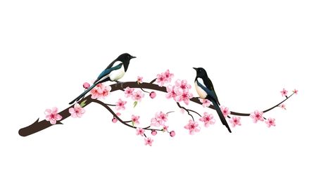 Bird Cherry Blossom Tattoo, Magpie On Branch Tattoo, Cherry Tree Branch Tattoo, 2 Magpies Tattoo, Magpie Tattoo Design, Sakura Branch Tattoo, Two Magpies Tattoo, Birds On A Branch Tattoo, Tree With Birds Tattoo