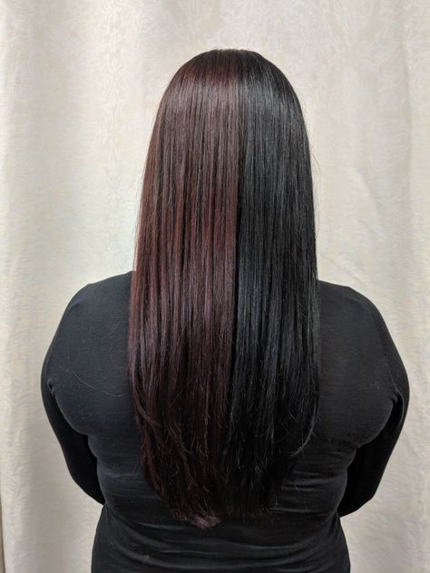 Black And Brown Split Dye Hair, Brown And Black Split Dye, Half Black Half Brown Hair, Half Coloured Hair, Alt Hair Ideas, Half Red Hair, Red Hair Black Hair, Kevin Murphy Color Me, Black And Brown Hair