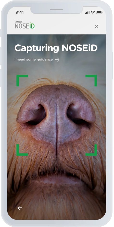 NoseID can scan your dog’s unique nose print to help find them if they get lost Dogs Nose, Dog Nose Print, Scan App, Dogs Home, Dog Nose, Dog Poster, Lost Pets, Home Again, Losing A Dog