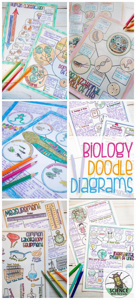 Diagram Notes, Apologia Biology, Science Doodles, School Biology, Biology Classroom, 7th Grade Science, High School Biology, Science Notebooks, Ap Biology