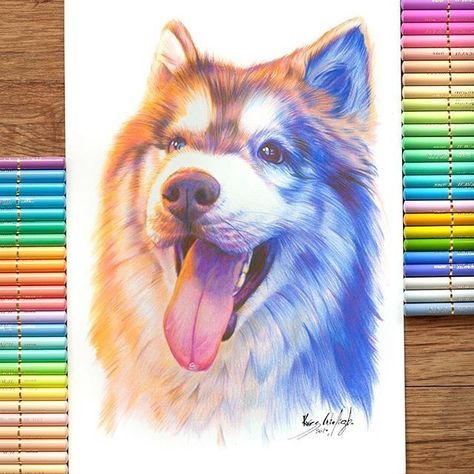 Pencil Color Drawing Animals, Realistic Animal Drawings Colour, Painting With Pencil Colour, Colouring Pencil Art, Pencil Colours Art Drawings, Drawings With Colored Pencils, Realistic Drawings Colored Pencils, Pencil Colour Art, Pencil Color Drawing